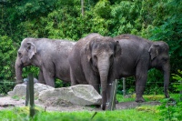 20210705-121804-DSC02573