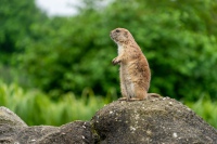 20210705-130652-DSC02580