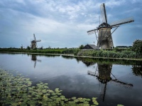 20210710-152338-IMG_2668