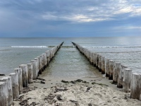 20210712-165931-IMG_2722