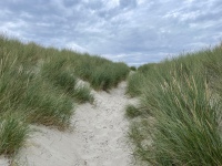 20210712-171557-IMG_2729