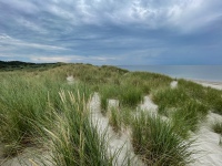 20210712-171653-IMG_2730