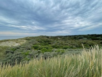 20210712-171755-IMG_2733