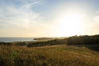 20221007-162906-DSC03842