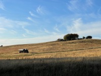 20221007-164614-IMG_7815