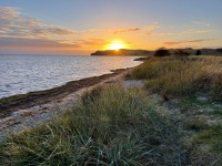 20221011-175925-IMG_7898