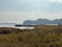 20221014-122659-IMG_7918