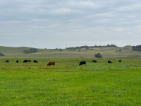 20231002-083400-IMG_2442