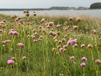 20231002-084226-IMG_2451