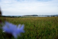 20231003-123018-DSC04924