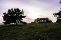 20231004-174848-DSC04967