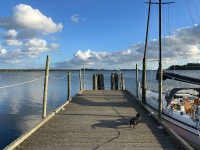 20231005-170136-IMG_2523