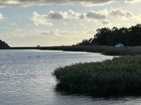 20231005-170232-IMG_2525