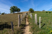 20231008-130624-DSC05135