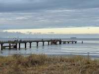 20231009-173107-IMG_2626