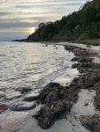 20231010-173009-IMG_2657