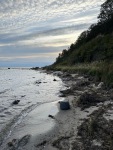 20231010-173322-IMG_2659