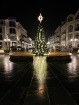 IMG_8441