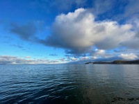 IMG_8492