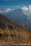 DSC05353