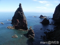 CIMG0614a