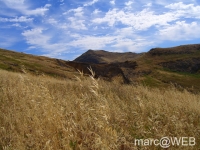 Sau_Lourenco__14_