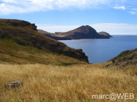 Sau_Lourenco__16_
