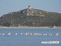 PICT0020.JPG
