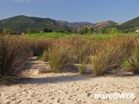 PICT0109.JPG