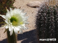 PICT0152.JPG