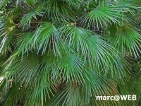 PICT0164.JPG