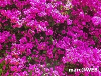 PICT0168.JPG