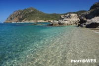 DSC00556