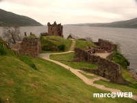 Schottland (16)