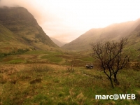 Schottland (17)