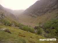Schottland (18)