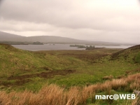 Schottland (19)