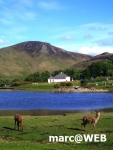 Schottland (20)