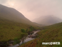 Schottland (24)