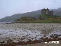 Schottland (25)