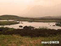 Schottland (35)