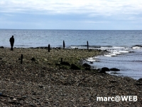Schottland (36)