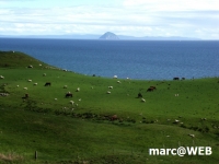 Schottland (37)