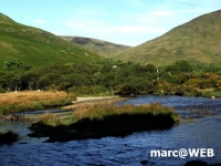 Schottland (4)