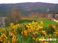 Schottland (43)