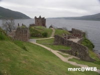 Schottland (5)