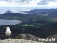 Schottland (6)