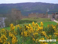 Schottland