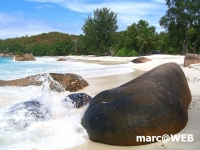 Seychellen (27)