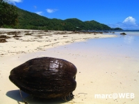 Seychellen (29).JPG